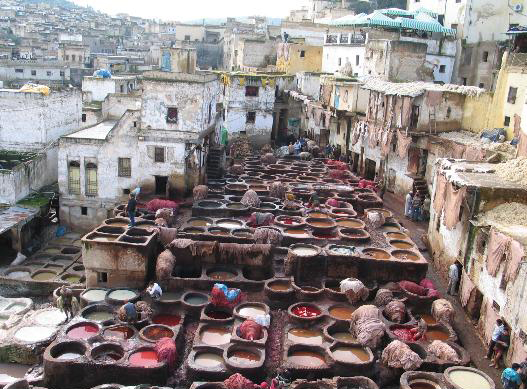 <가죽염색 작업장 탄네리>